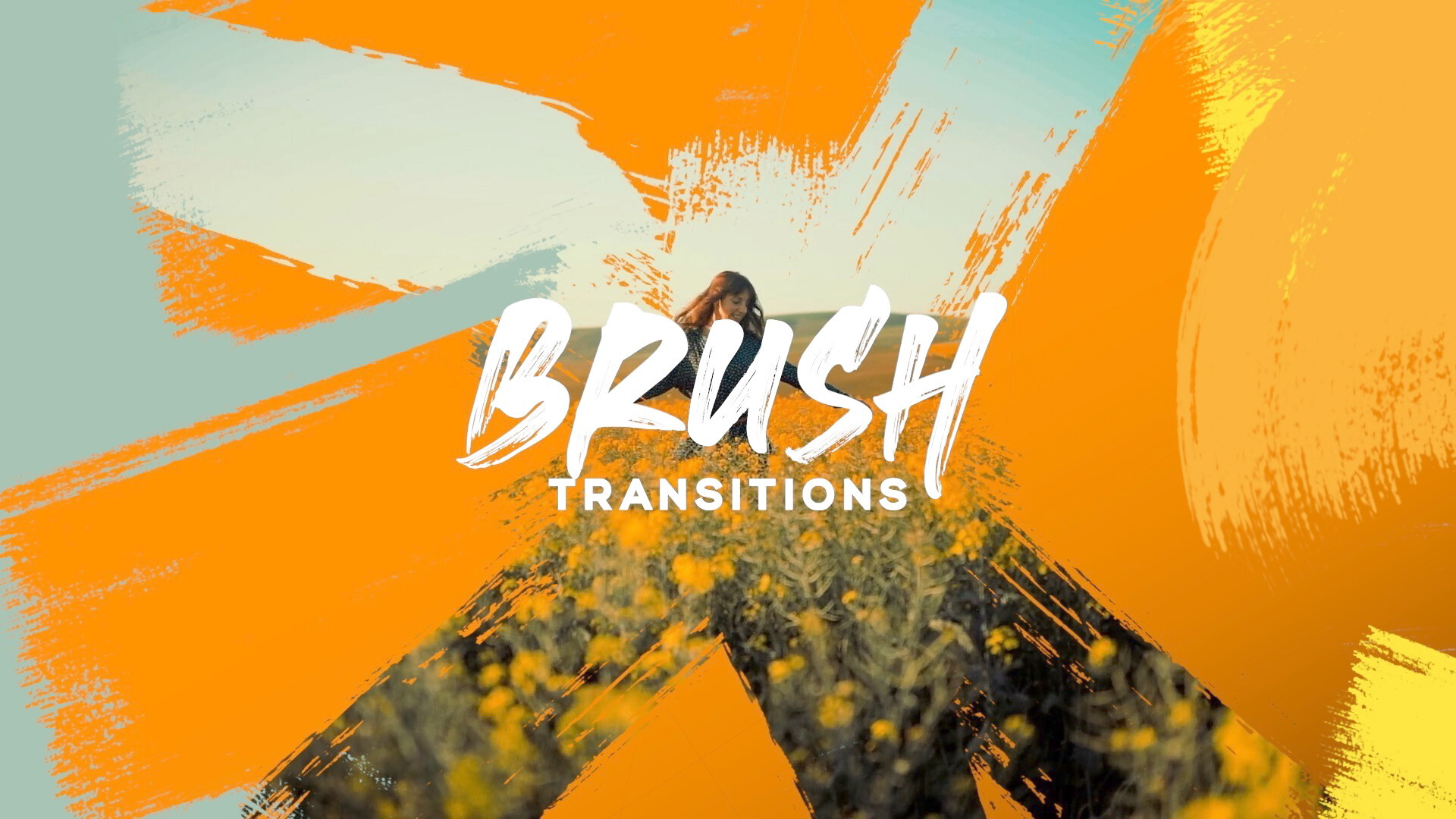 Brush Transitions preview
